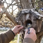 Les ornithologues le répètent chaque année : ce geste est crucial pour sauver les oisillons