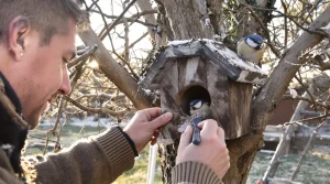 Les ornithologues le répètent chaque année : ce geste est crucial pour sauver les oisillons