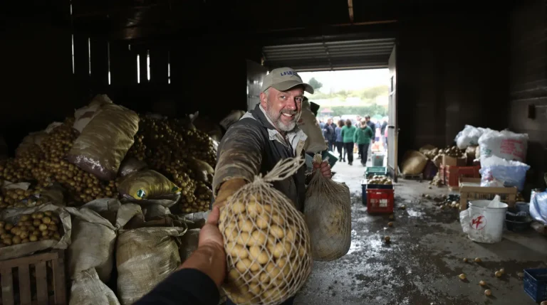 Pas-de-Calais : un agriculteur offre gratuitement ses pommes de terre invendues au lieu de les jeter
